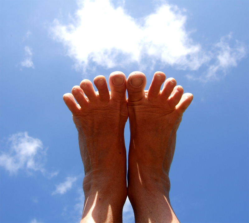 Omni Podo Genootschap